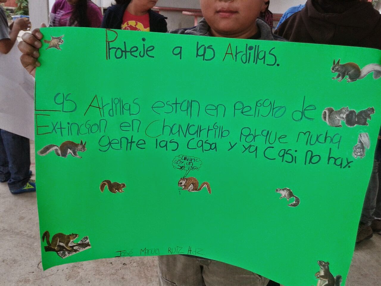 Carteles De Animales En Peligro De Extincion Para Niños