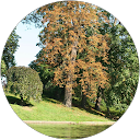 Maxime Bercholz profile picture