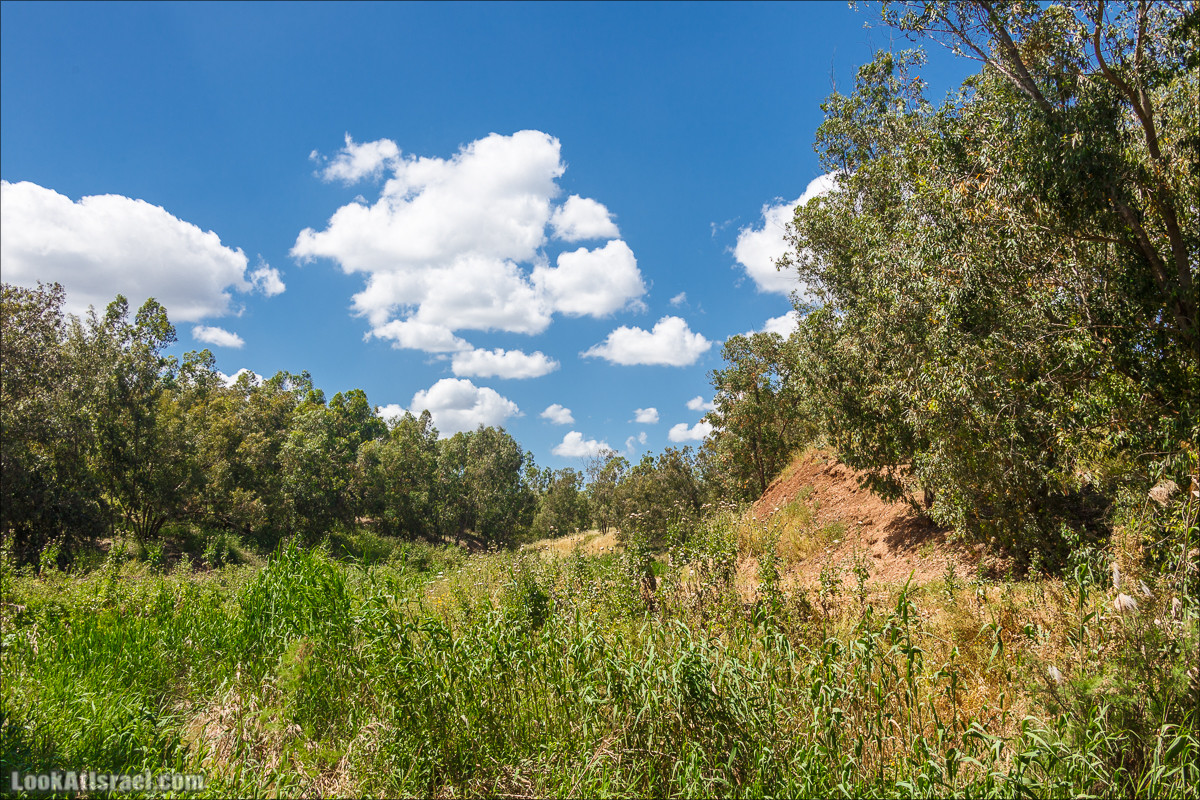 Песах в Долине Родников | Passover in Springs Valley| פסח בעמק המעיינות | LookAtIsrael.com - Фото путешествия по Израилю