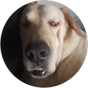 photo - Coronavirus, il sopralluogo tecnico diventa smart e in videoconferenza con la ditta GIEMME di Marcello Grotti