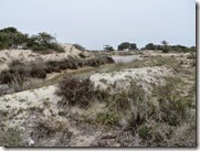 IMG_0042 IMG_0042