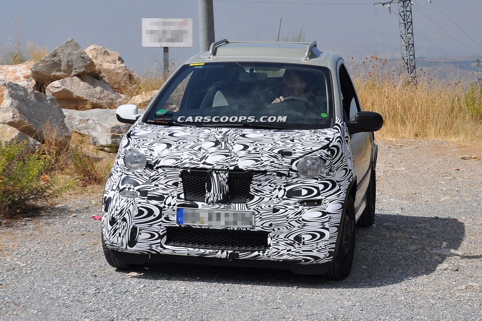 [2-15-Smart-ForTwo-Mule-02%255B3%255D.jpg]