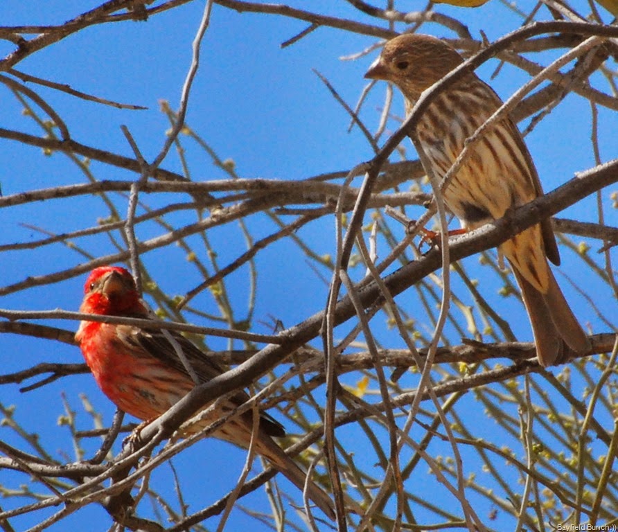 [DSC_3572%255B7%255D.jpg]