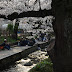 DA★ 16-50mm F2.8ED AL[IF]SDM