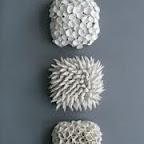 shells1.jpg