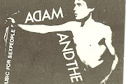 Adam And The Ants