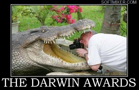 darwin-awards-89407812310