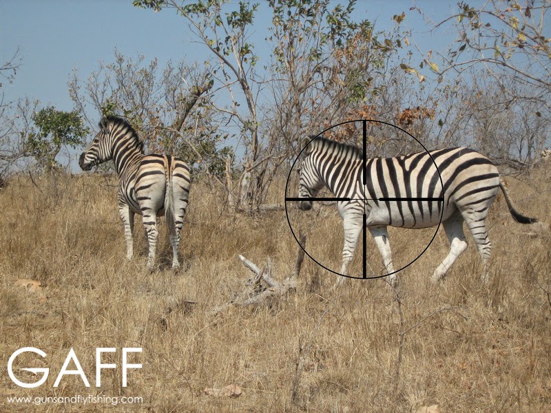 Zebra-hunting-shot-placement.jpg
