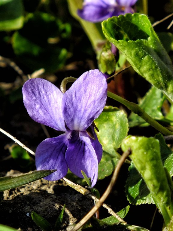 [DSCF8972_re%255B2%255D.jpg]