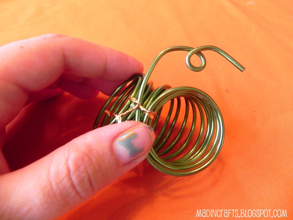 [curl-the-pumpkin-stem5.jpg]