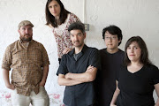 The Magnetic Fields