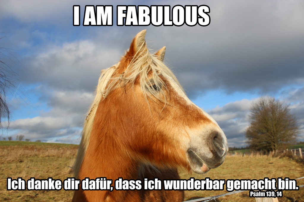 [Fabuloushorse%255B6%255D.png]