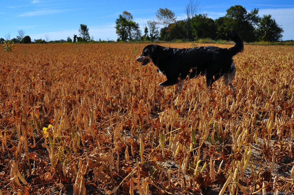 [DSC_0005%255B4%255D.jpg]