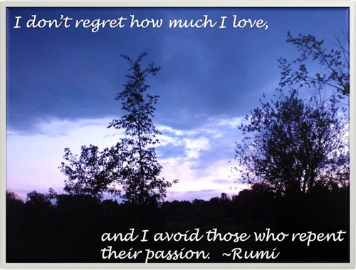 Rumi 1_passion JPEG