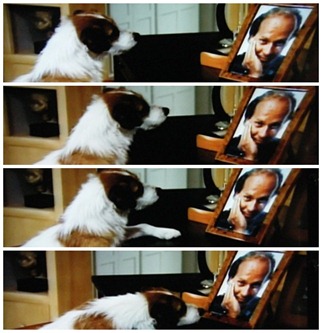 frasier frasier