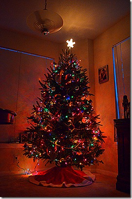 DSC_1184 DSC_1184