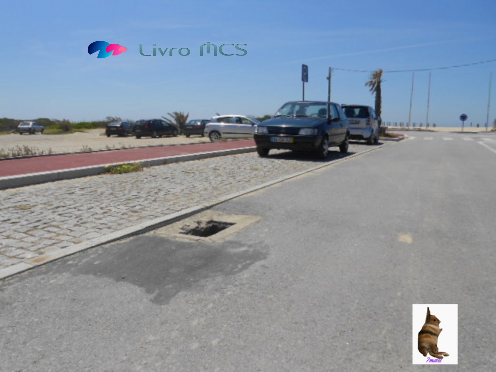 [Bolg%2520Gazeta%2520de%2520Espinho004%2520Livro%2520MCS%255B3%255D.jpg]