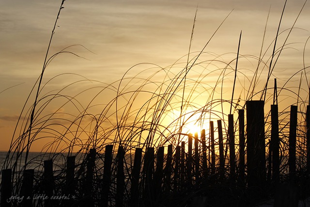 [henderson%2520beach%2520fence%2520sunset_edited-1%255B4%255D.jpg]