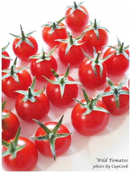 tomato (11)