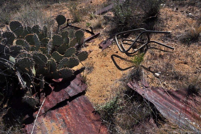 [DSC_0159%255B4%255D.jpg]