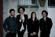 The Veils