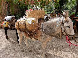 2012-10-20 Mallorca by BREITENGRAD53 - 078