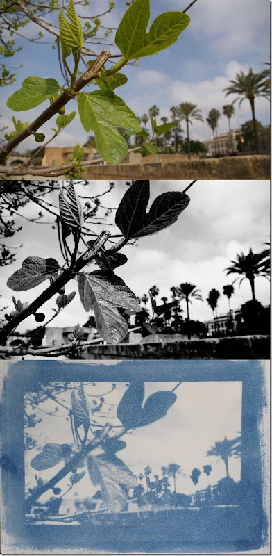 Sevilla Uferpromenade am Guadalquivir Sevilla Uferpromenade am Guadalquivir- Drei Bilder Farbe - Schwarzweiß - Cyanotypie (Blaudruck)