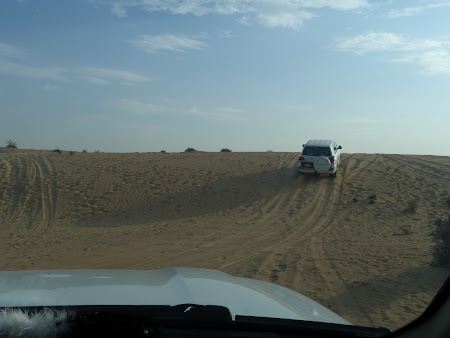 Dubai Desert Safari: