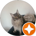 Image Google de Petite Clochette