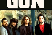 Gun