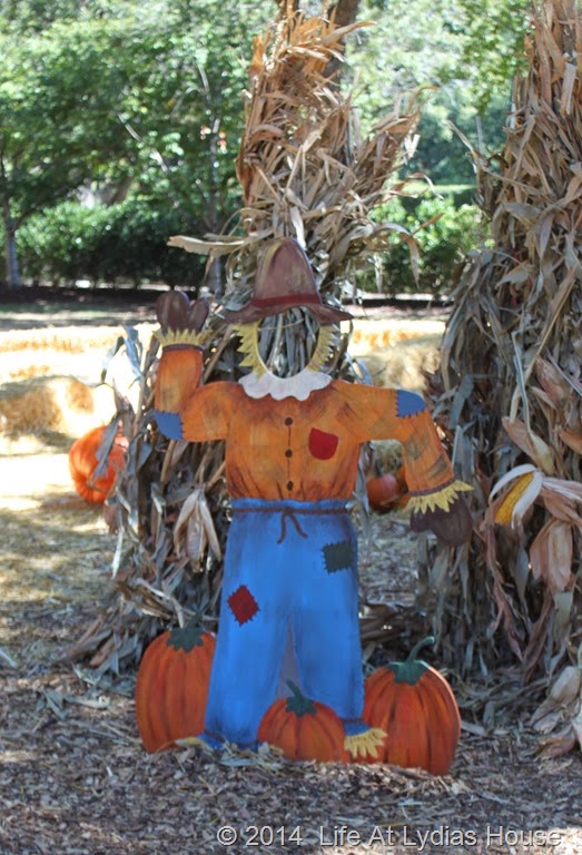 [Dallas-Arboretum---pumpkin-festival-%255B79%255D.jpg]