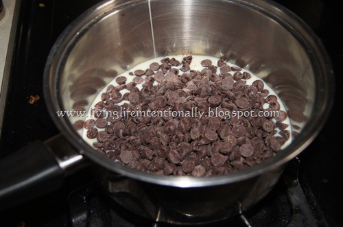 melt the chocolate chips melt the chocolate chips
