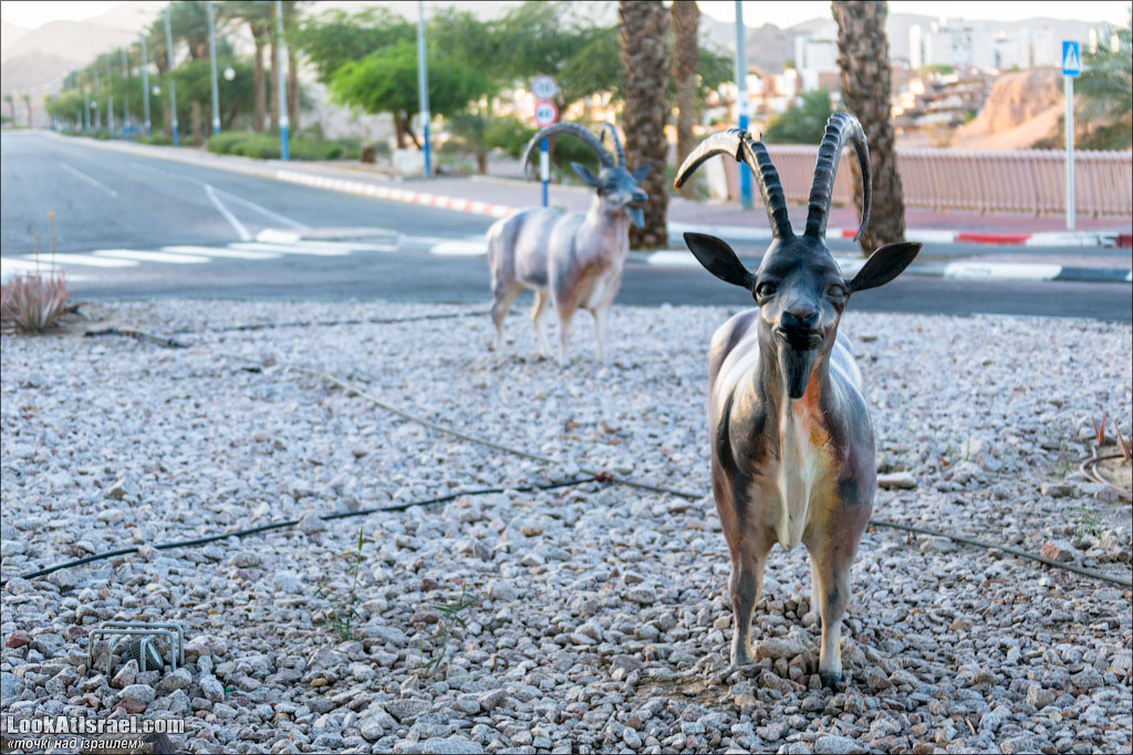 Проект блога LookAtIsrael.com о городах Израиля. Эйлат