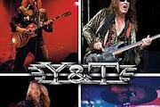 Y&T
