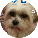 Liz Ylinen profile picture