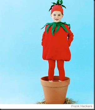   Disfraz casero de Tomate