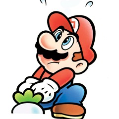 1989_Super-Mario-Bros-2