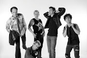 Toten Hosen