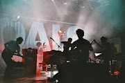 Foals