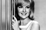 shelley fabres