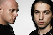 Infected Mushroom