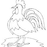 coq21.jpg
