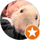Image Google de Fanny Verstraete
