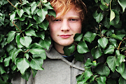 Ed Sheeran