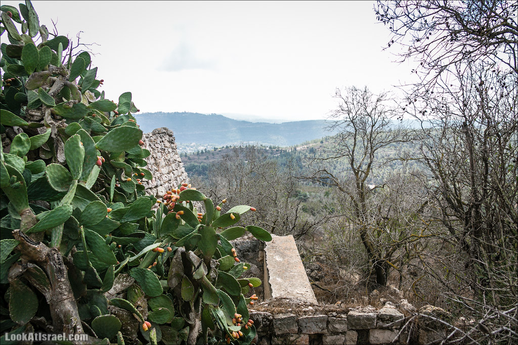 LookAtIsrael.com - Фото путешествия по Израилю | Крепость Бельмонт в кибуце Цуба | Belmont fortress