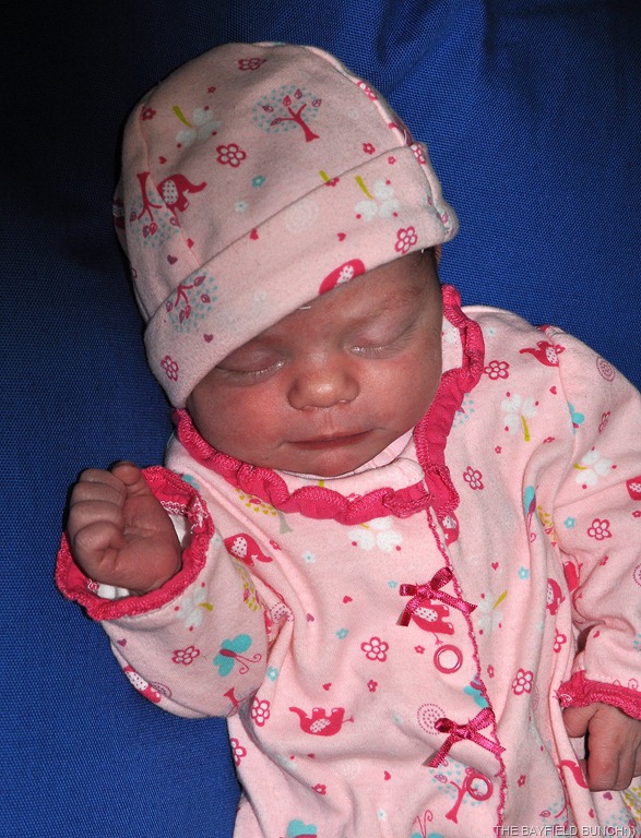 [DSC_0048%255B3%255D.jpg]