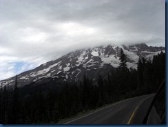 Mt. Rainier (23)