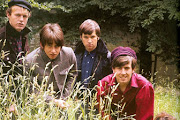 Hollies