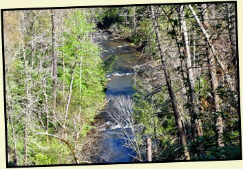 04b - Looking down at Abrahms Creek