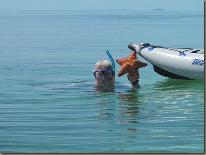 kayaking around sunshine key, starfish